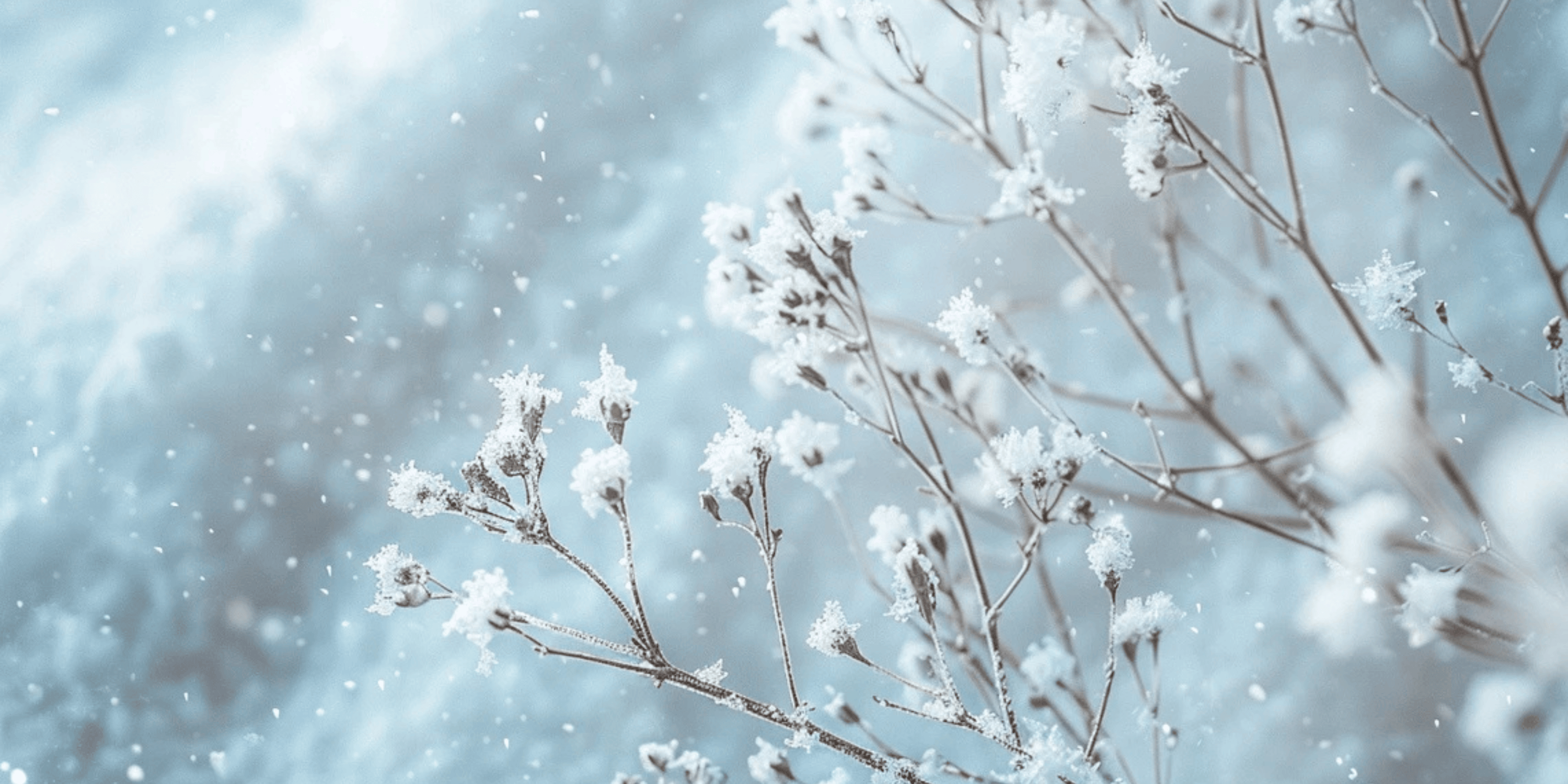 Winterhaut in Balance