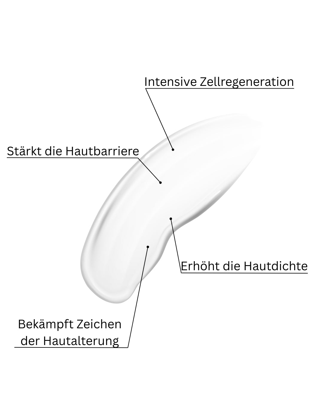 Regenerating Night Cream