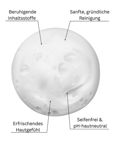 Gentle Cleansing Foam