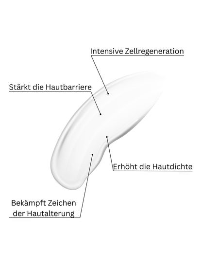 Regenerating Night Cream CREYAN